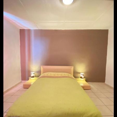 Belle Appartement Chaleureux A 2 Mn A Pied Du Tramway. 圣艾蒂安 外观 照片